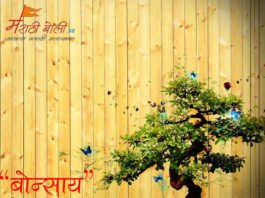 Marathi Poem Bonsai