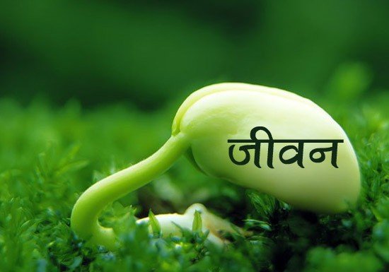 marathi-article-jeevan