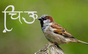 Marathi-Kavitap-Chiu